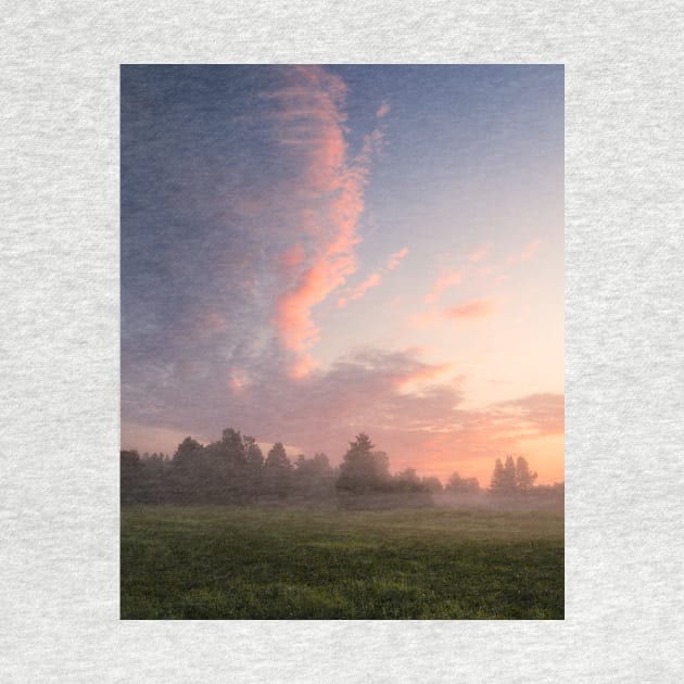 Misty meadow sunrise landscape by Juhku